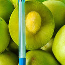 Muda de Umbu Gigante – América Dourada